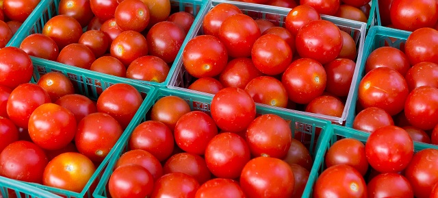 tomates propriedades