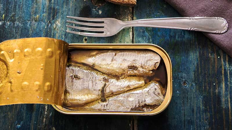sardina