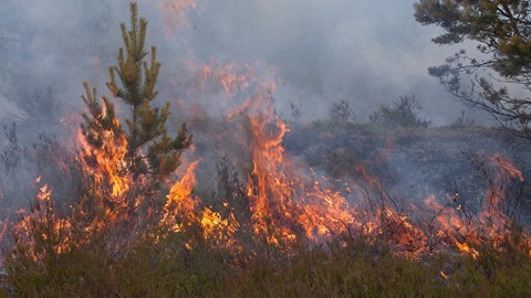 Incendios