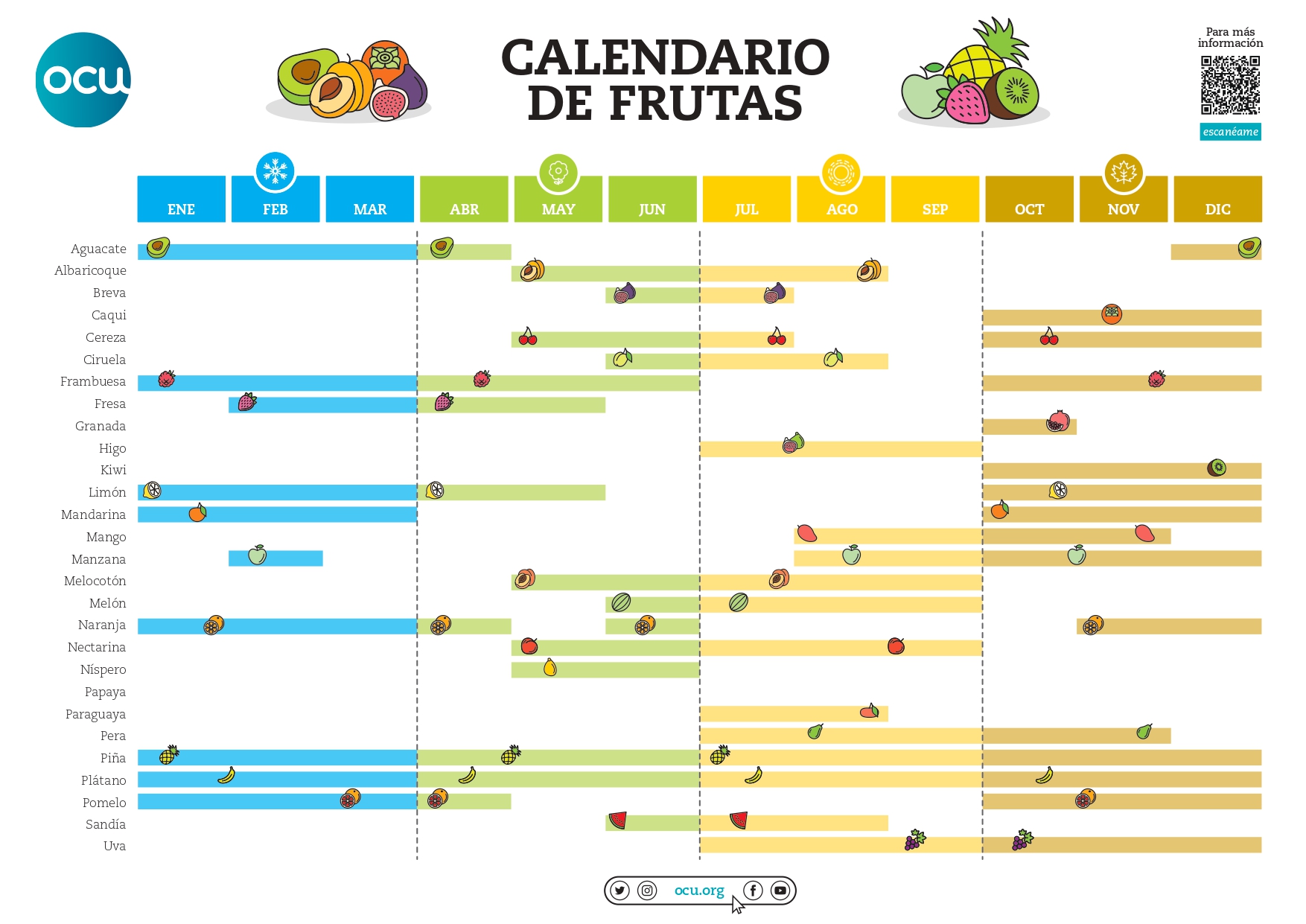Calendario de fruta de temporada: Pomelo
