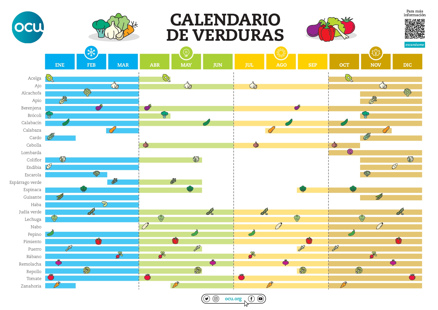 Calendario de verduras de temporada: Repollo