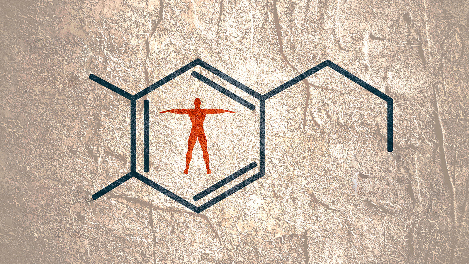 Disruptores endocrinos salud