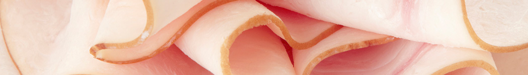 mejor pechuga de pavo