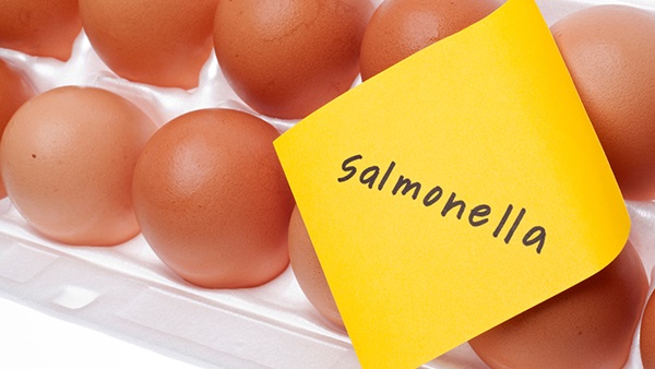 SALMONELA