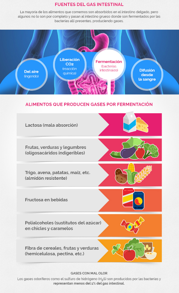 Gases Intestinales Como Eliminarlos Ocu Gases Intestinales Como Eliminarlos Ocu