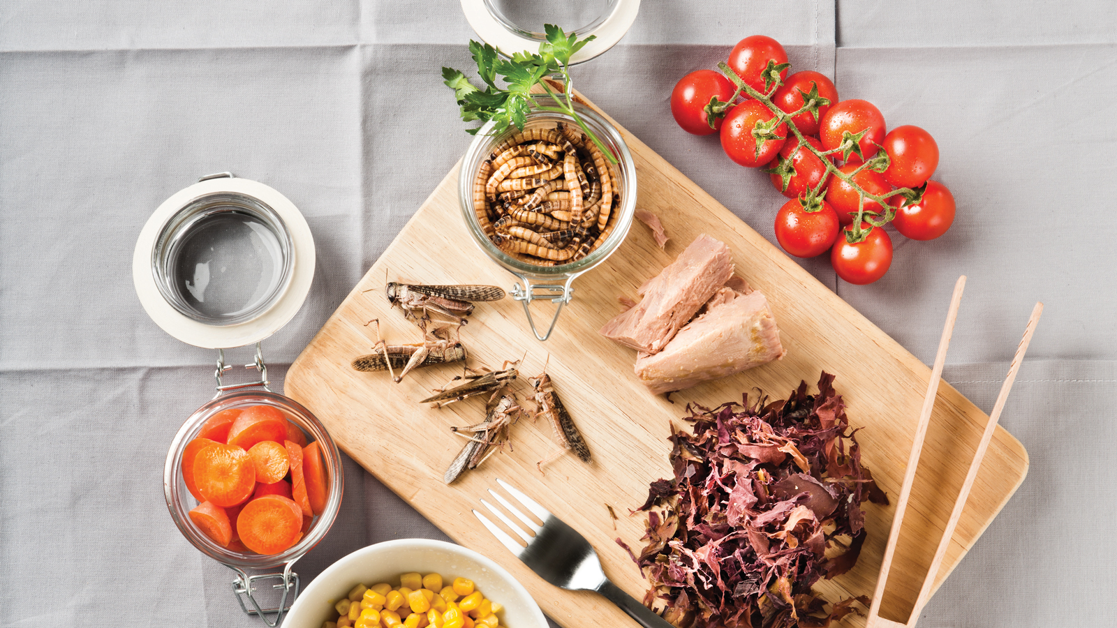 insectos alimentos del futuro