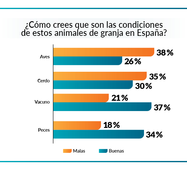 cómo son