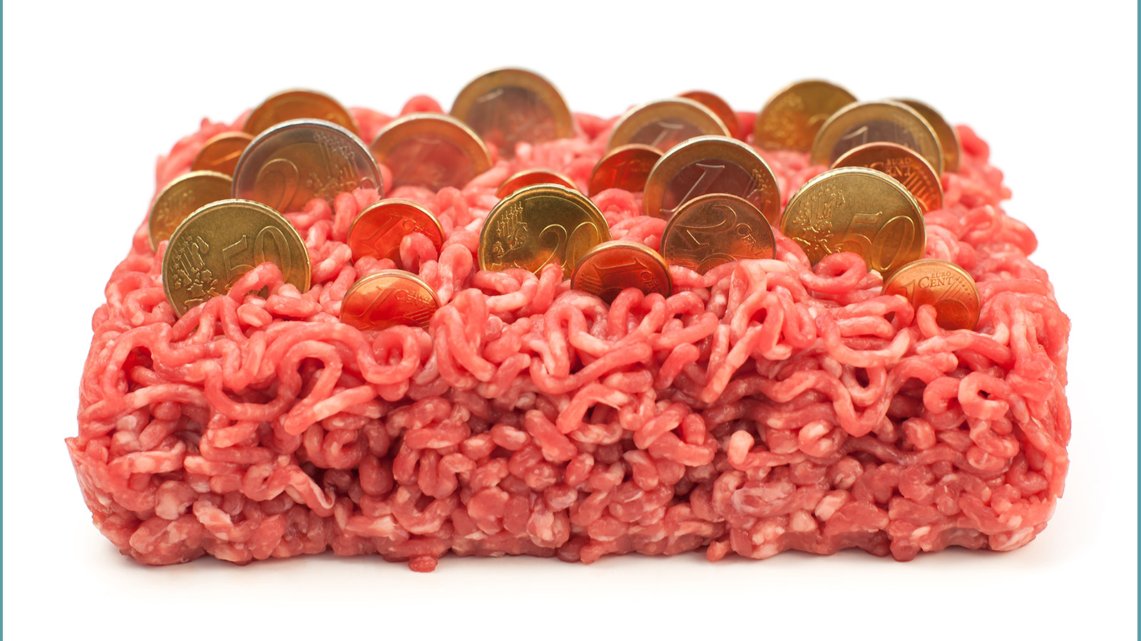 grasa carne de cerdo