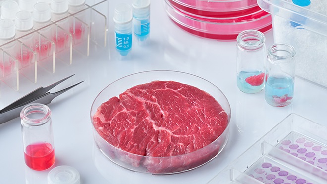 carne de laboratorio