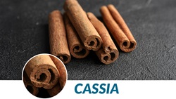 cassia