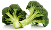 brecol