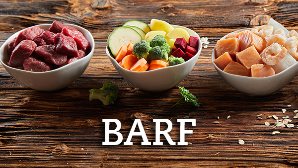 Comida BARF, alimentos crudos para gatos