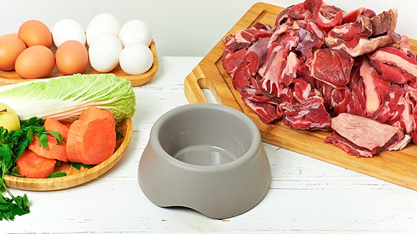 comida casera para el gato