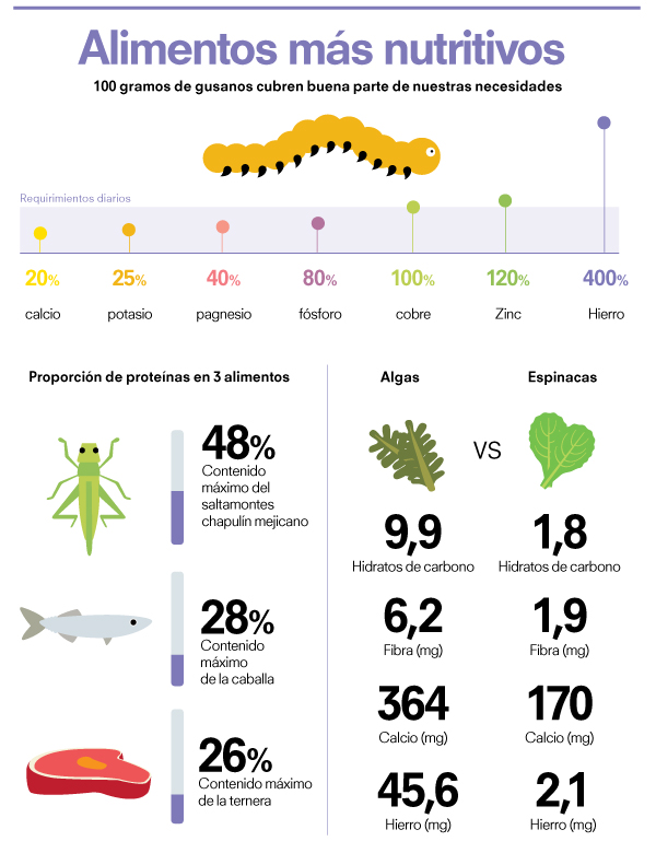 Alimentos del futuro