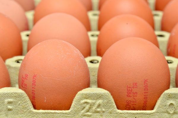huevos colocados en hueveras de cartón mostrando código y fecha de consumo
