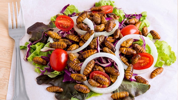 alimentarse con insectos