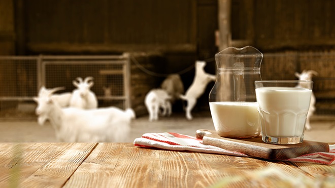 Leche de cabra