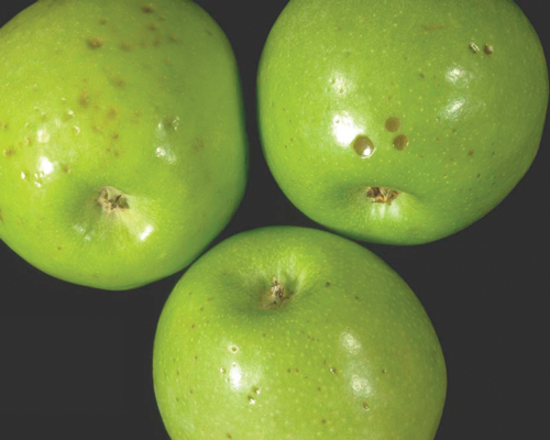 vitaminas de la manzana