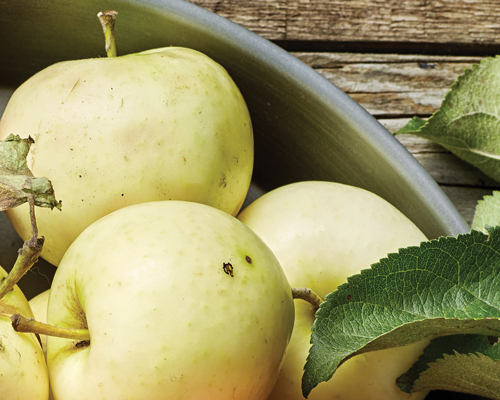 propriedades manzanas