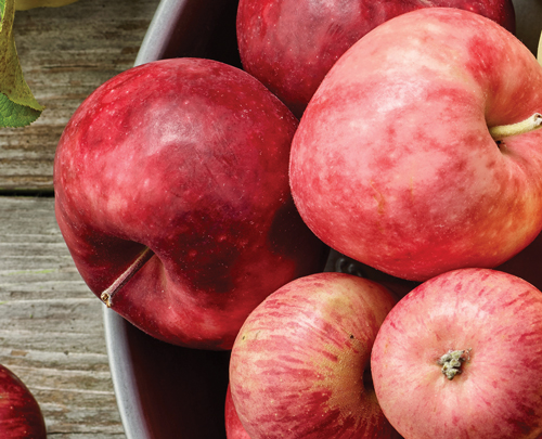 manzana roja propriedades