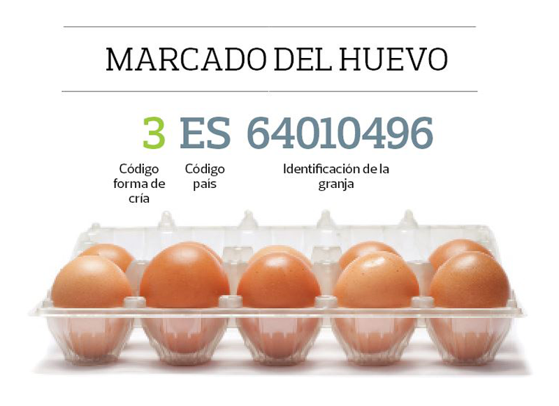 Cómo leer etiquetas huevos