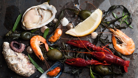 Mariscos y crustáceos