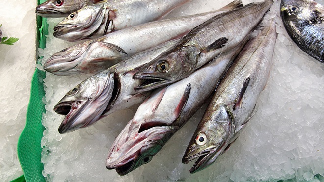 Merluzas de tamaño inferior a los 20 cm reglamentarios para que puedan comercializarse