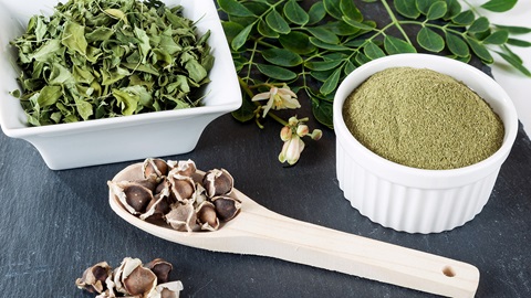 moringa
