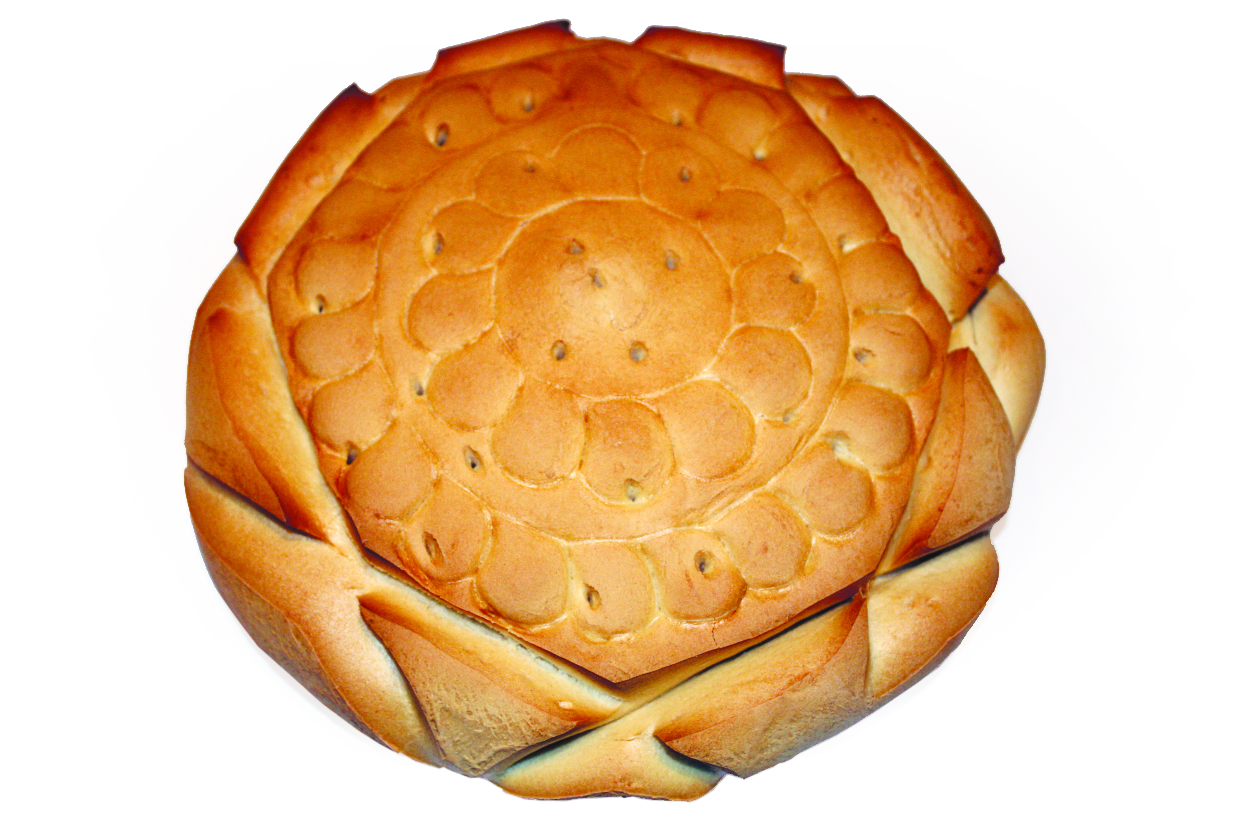 lechuguino valladolid