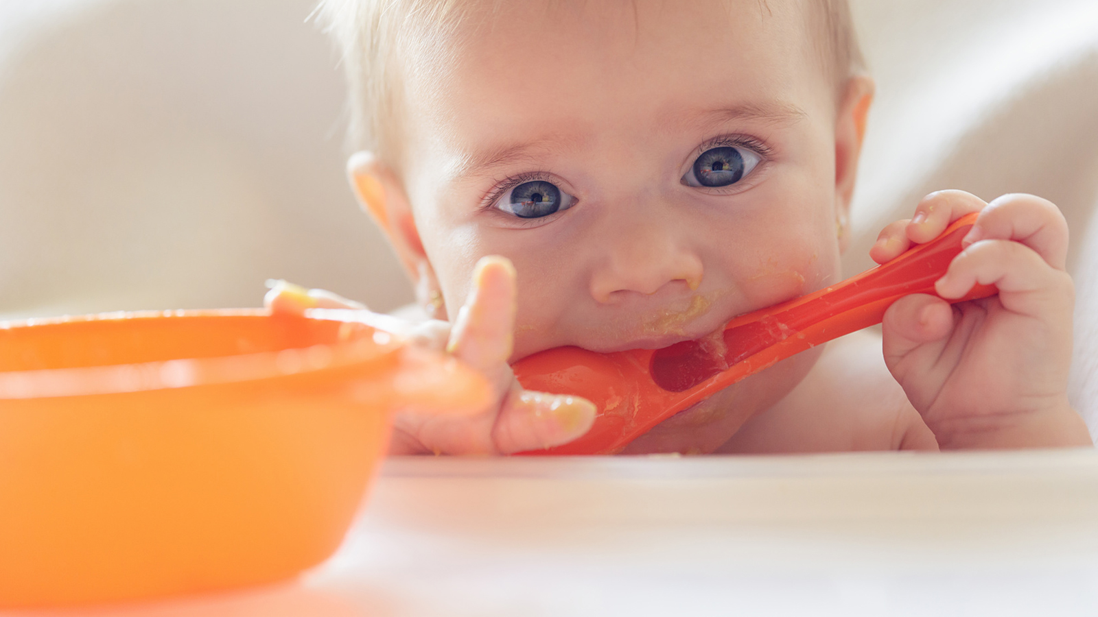 Leches de continuación