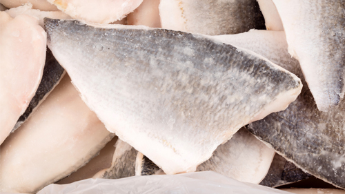 Guía de compra de merluza congelada 