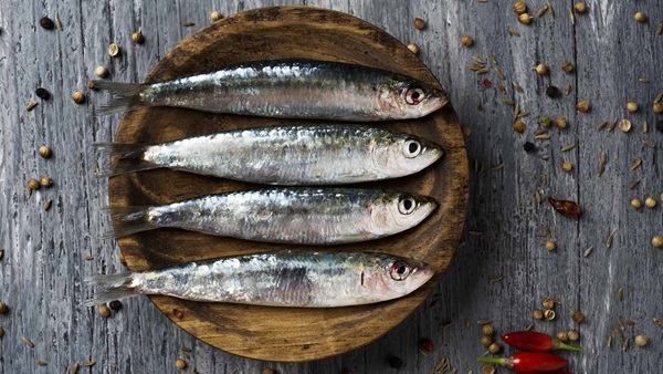 pescado azul2