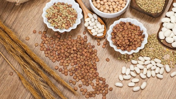 proteinas-vegetales