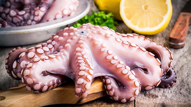 pulpo