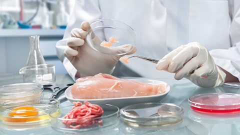 Estudios comparativos en alimentación