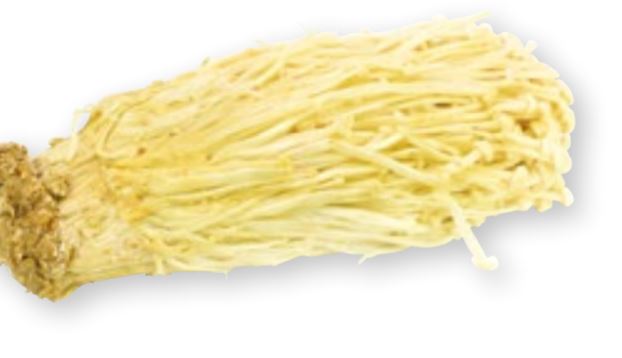 enoki