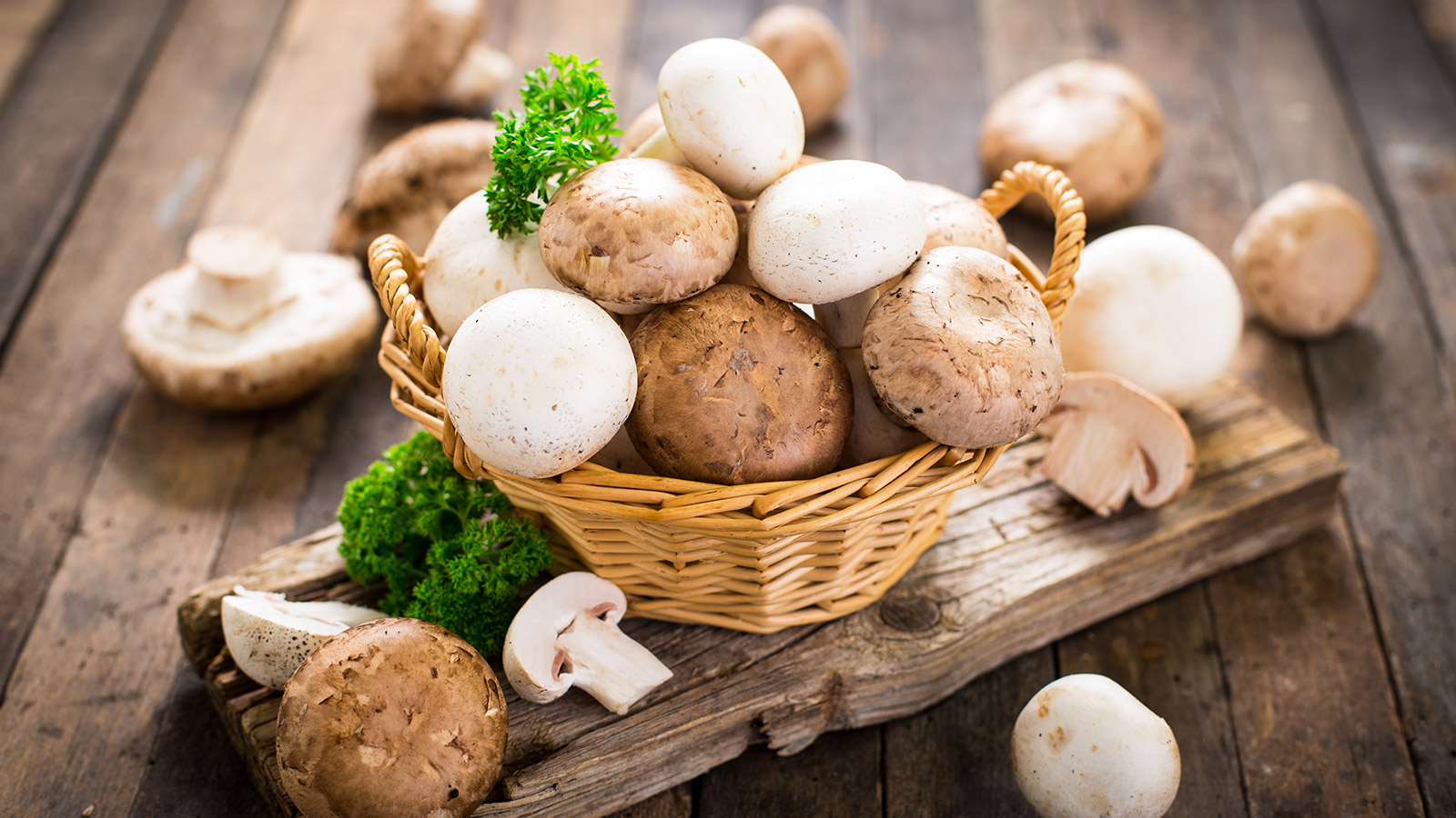 Seta Comida Setas comestibles | OCU