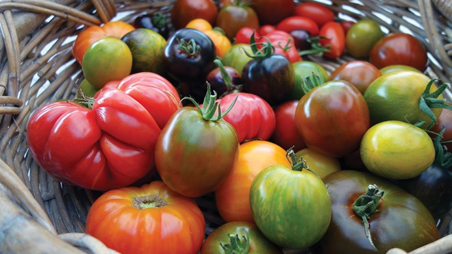 Tomates