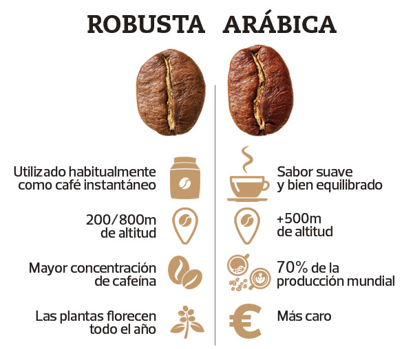 cafe robusta y arabica