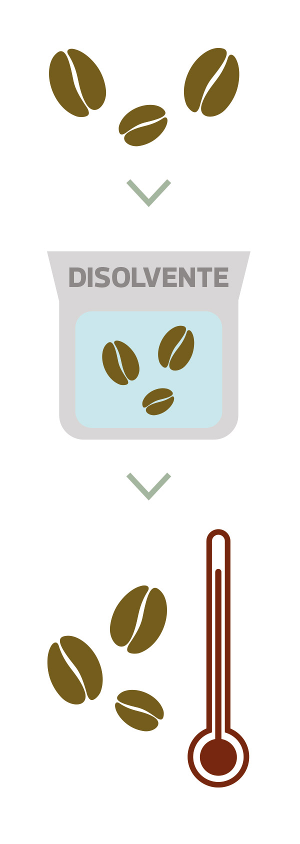 Cómo se extrae el café descafeinado Cómo se extrae el café descafeinado