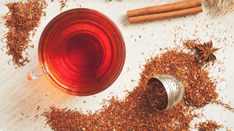 rooibos