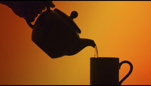 tes | Mejores Tés - Analizamos características y variedades | OCU tes