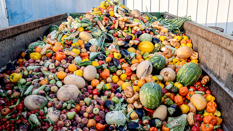 fruta y verdura en un contenedor