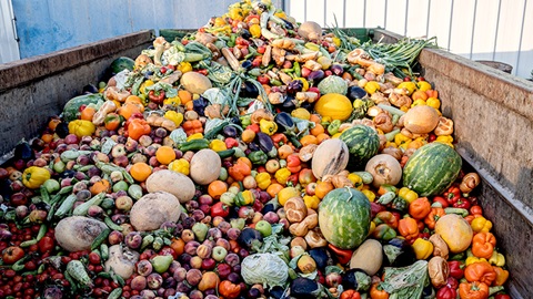 fruta y verdura en un contenedor
