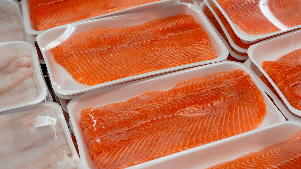 bandejas de filetes de salmón fresco