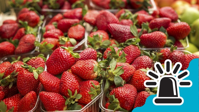 Alerta fresas con hepatitis