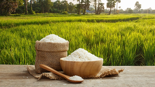 arsénico en el arroz