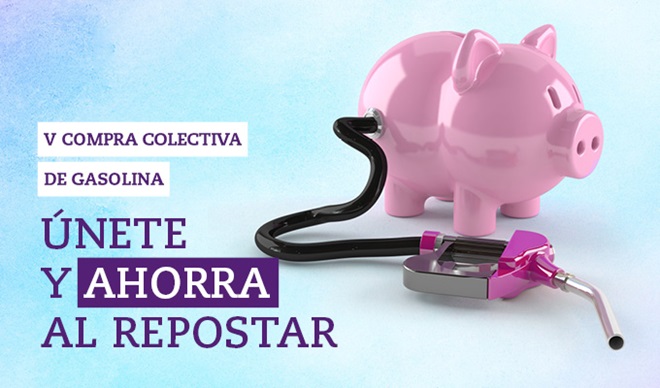 manguera-combustible-cerdito