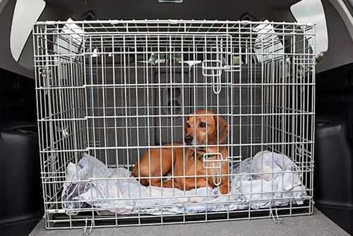 viajar-en-coche-con-perro-jaula