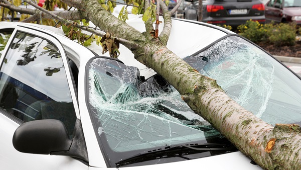 Seguro cubre los daños con un coche extranjero